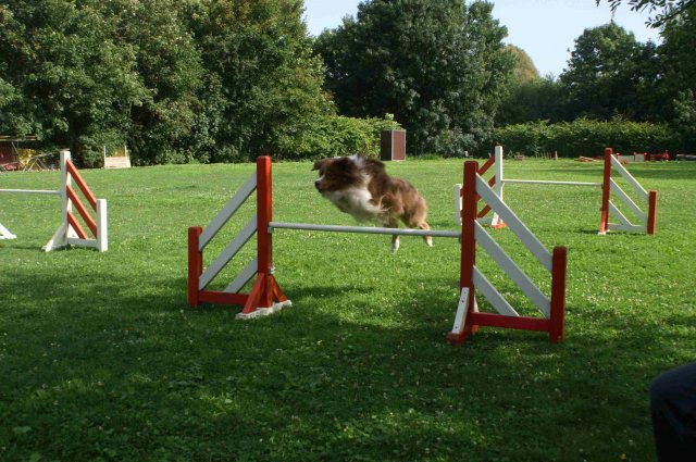 agility 2011-08